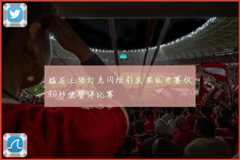 猛龙主场灯光闪烁引发混乱开赛仅40秒便暂停比赛