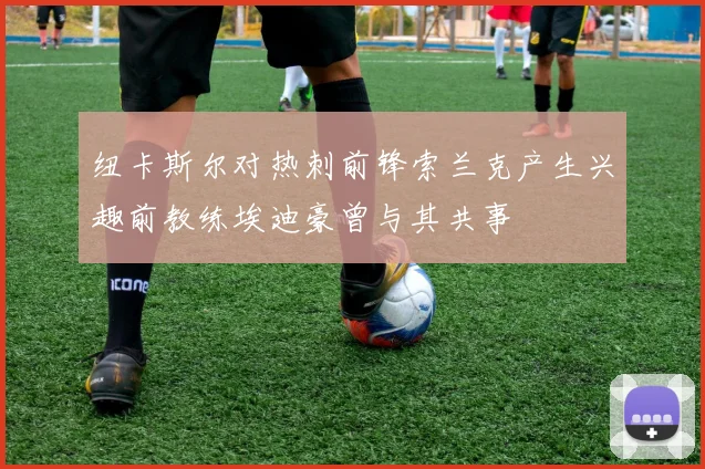 纽卡斯尔对热刺前锋索兰克产生兴趣前教练埃迪豪曾与其共事
